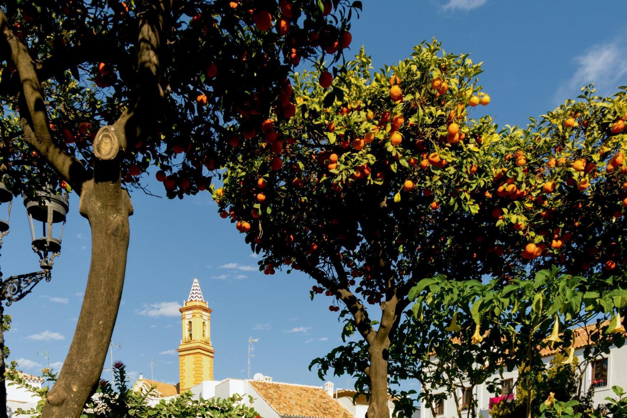 Casa Del Patio - Boutique Apartments (Adults Only) Estepona Bagian luar foto